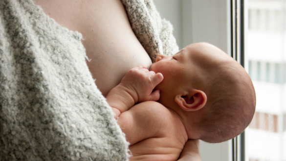 Mjölkstockning (mastit)